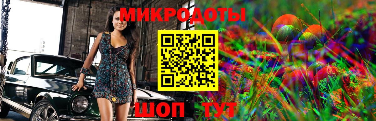 Псилоцибиновые грибы GOLDEN TEACHER Черкесск